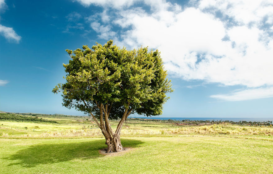 AGGAME¡¤(ÖйúÇø)¼¯ÍŹٷ½ÍøÕ¾